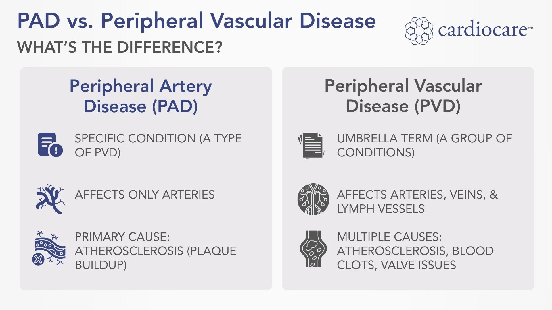 PAD vs. Peripheral Vascular Disease